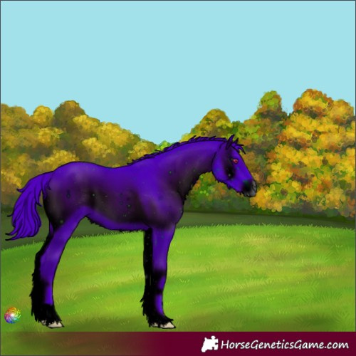 Horse Color:ERROR: UNKNOWN ANOMALY