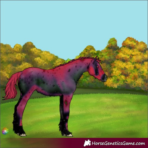 Horse Color:ERROR: UNKNOWN ANOMALY