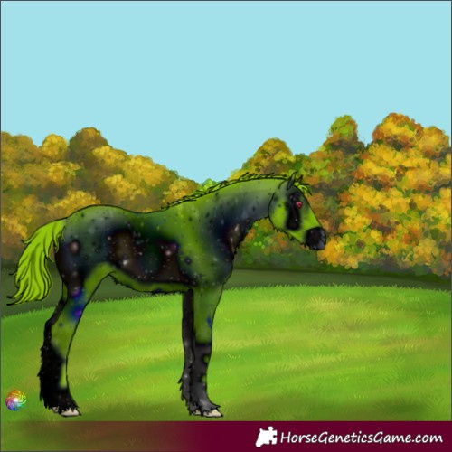 Horse Color:ERROR: UNKNOWN ANOMALY