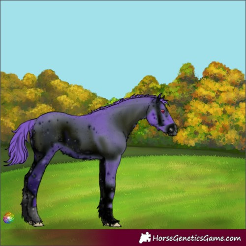 Horse Color:ERROR: UNKNOWN ANOMALY