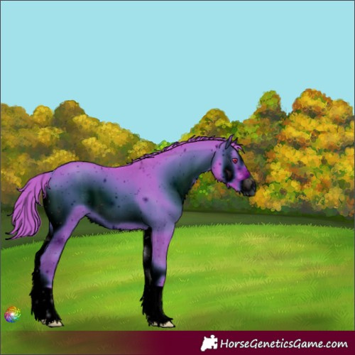 Horse Color:ERROR: UNKNOWN ANOMALY