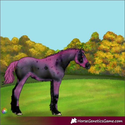 Horse Color:ERROR: UNKNOWN ANOMALY