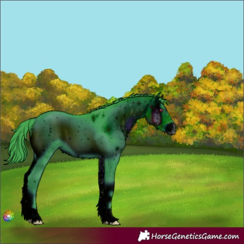 Horse Color:ERROR: UNKNOWN ANOMALY