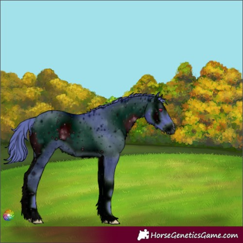 Horse Color:ERROR: UNKNOWN ANOMALY