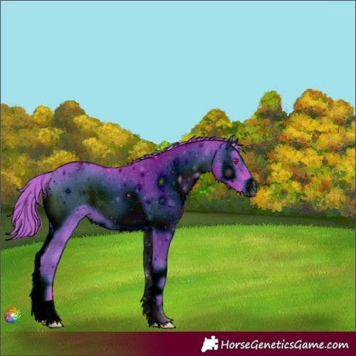 Horse Color:ERROR: UNKNOWN ANOMALY