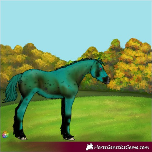 Horse Color:ERROR: UNKNOWN ANOMALY