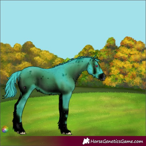 Horse Color:ERROR: UNKNOWN ANOMALY