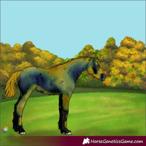Horse Color:ERROR: UNKNOWN ANOMALY