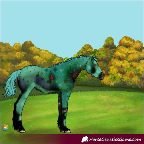 Horse Color:ERROR: UNKNOWN ANOMALY