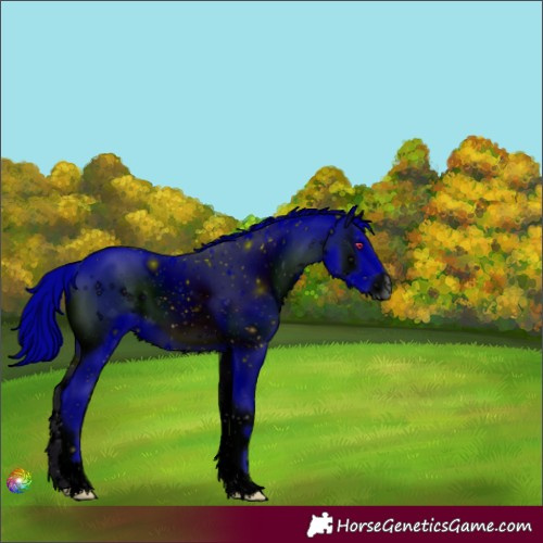 Horse Color:ERROR: UNKNOWN ANOMALY