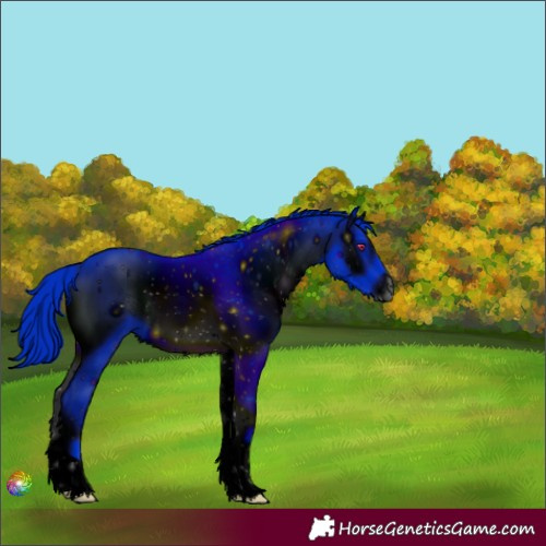 Horse Color:ERROR: UNKNOWN ANOMALY