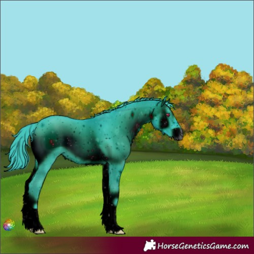 Horse Color:ERROR: UNKNOWN ANOMALY