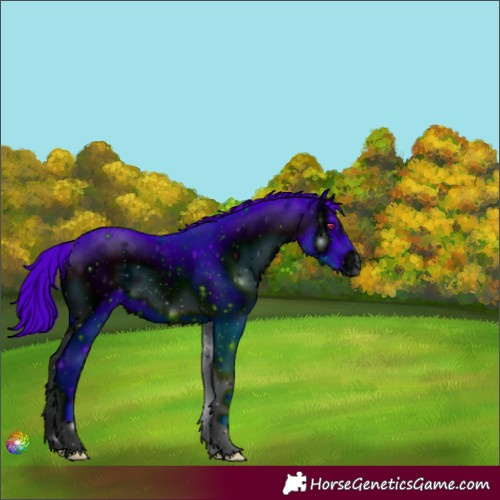 Horse Color:ERROR: UNKNOWN ANOMALY