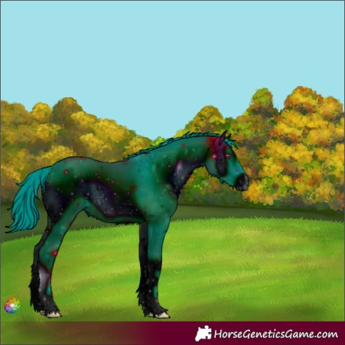 Horse Color:ERROR: UNKNOWN ANOMALY