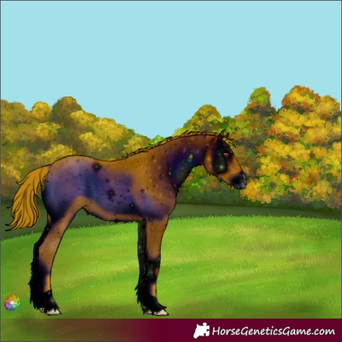 Horse Color:ERROR: UNKNOWN ANOMALY