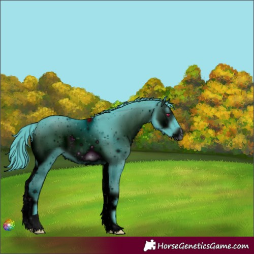 Horse Color:ERROR: UNKNOWN ANOMALY
