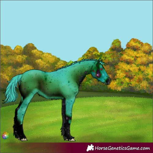 Horse Color:ERROR: UNKNOWN ANOMALY