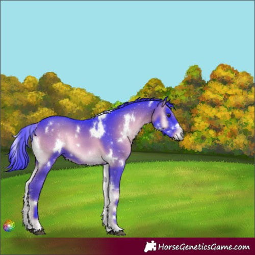 Horse Color:Watercolor White Spotted Liver Red Onyx 