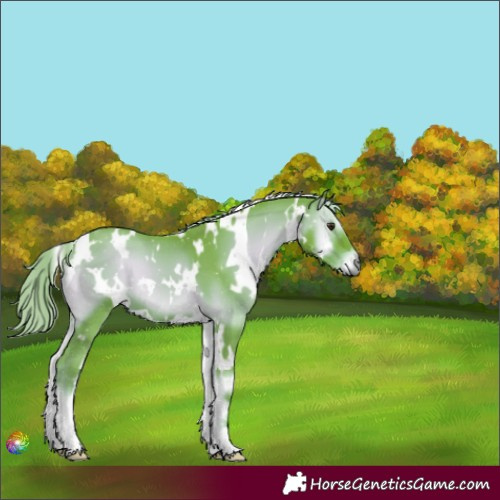 Horse Color:Watercolor White Spotted Liver Red Onyx