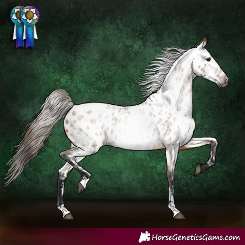 Horse Color:Gray Buckskin Roan Near Leopard 