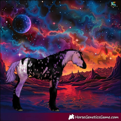 Horse Color:Void Watercolor Bay Ice Merle Splash Tobiano Skewed Appaloosa Rabicano