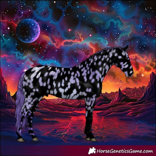 Horse Color:Void Watercolor Bay Ice Tobiano Appaloosa Rabicano 