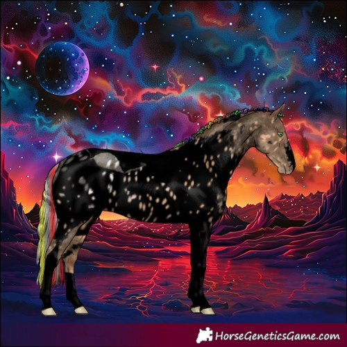 Horse Color:Void Painted Silver Amber Champagne Ice Tobiano Skewed Appaloosa Rabicano