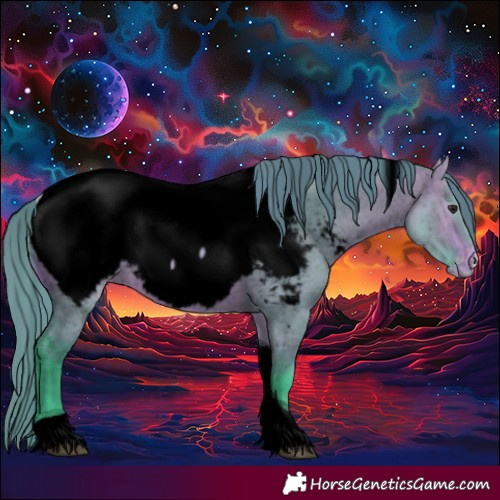 Horse Color:Void Watercolor Bay Ice Dun Tobiano Near Fewspot Rabicano 
