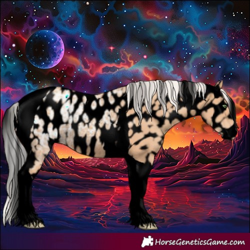 Horse Color:Void Silver Amber Champagne Ice Tobiano Skewed Appaloosa Rabicano
