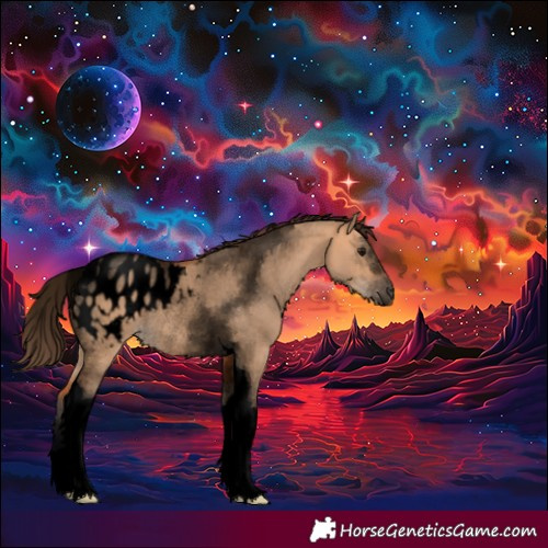 Horse Color:Void Bay Dun Tobiano Blanket Rabicano