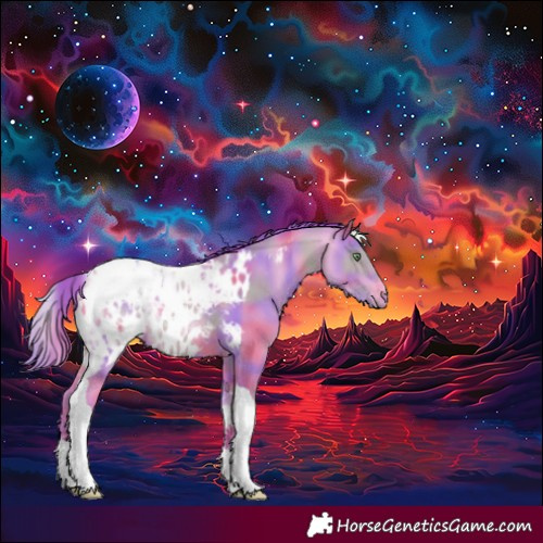 Horse Color:Nacre Watercolor Sable Champagne Ice Dun Tobiano Skewed Appaloosa Rabicano 