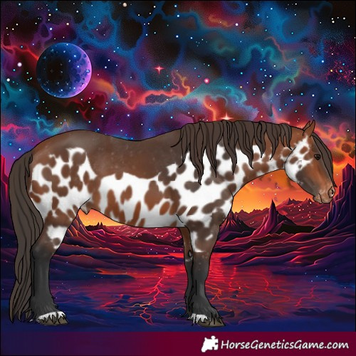 Horse Color:Bay Skewed LP Spotted 