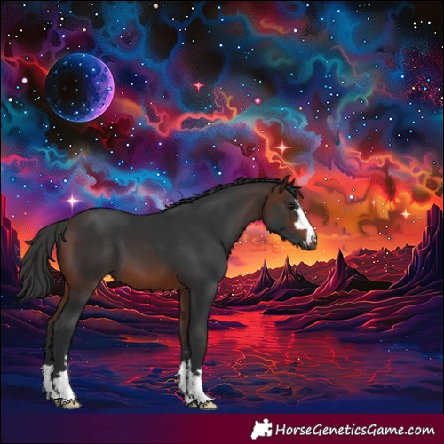 Horse Color:Brown 