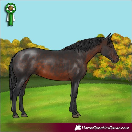 Horse Color:Brown 