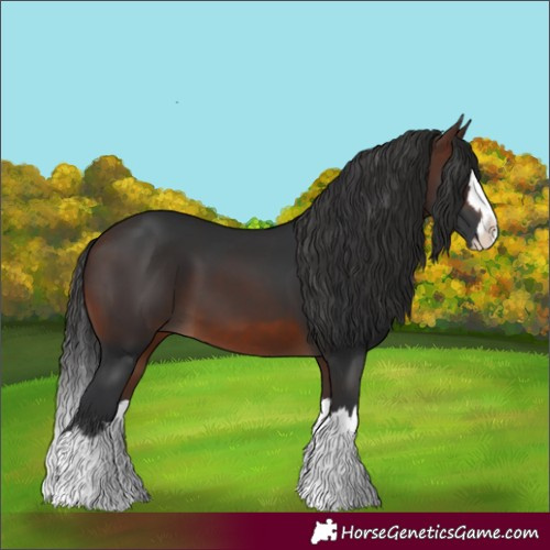 Horse Color:Brown Splash