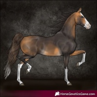 Horse Color:Buckskin Splash 