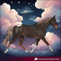 Horse Color:Liver Chestnut Tobiano 