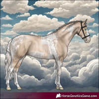 Horse Color:Chocolate Palomino Pearl Tobiano Frame  and Chocolate Palomino Pearl Tobiano Frame 