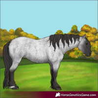 Horse Color:Smoky Blue Roan 