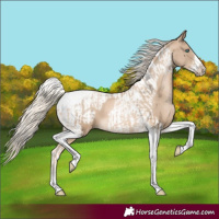 Horse Color:Chocolate Palomino Pearl Tobiano Frame and Chocolate Palomino Pearl Tobiano Frame