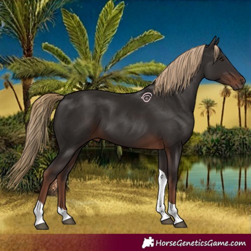 Horse Color:Liver Chestnut Tobiano 