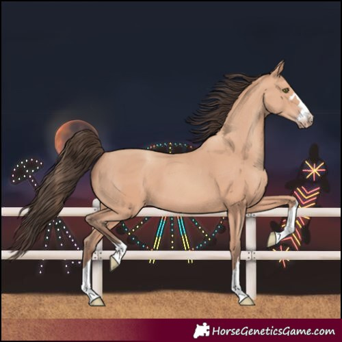Horse Color:Amber Champagne 