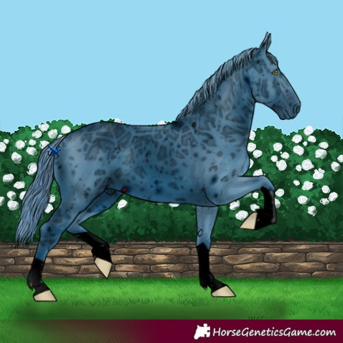 Horse Color:ERROR: UNKNOWN ANOMALY