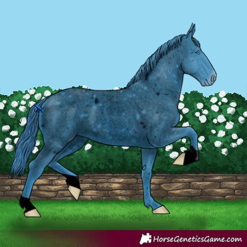 Horse Color:ERROR: UNKNOWN ANOMALY