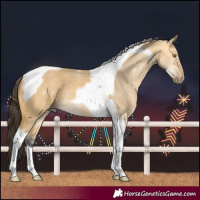 Horse Color:Buckskin Dun Tobiano 