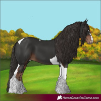 Horse Color:Liver Chestnut Tobiano 