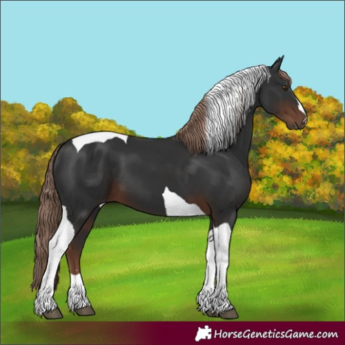 Horse Color:Liver Chestnut Tobiano