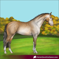 Horse Color:Gray Amber Cream Champagne Tobiano 