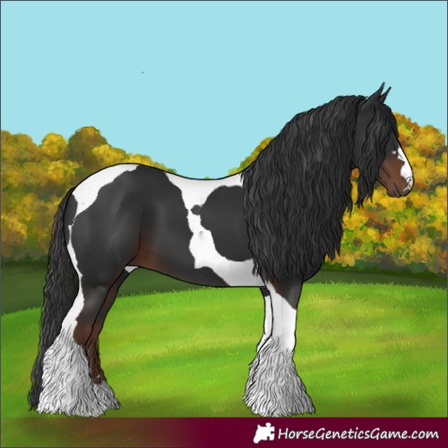 Horse Color:Liver Chestnut Tobiano