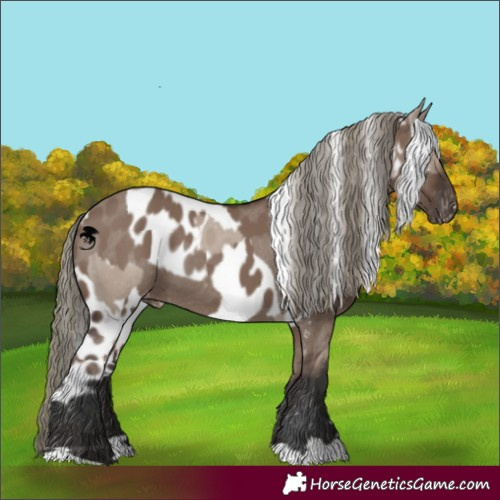 Horse Color:Liver Red Dun Mushroom Skewed Appaloosa  and Liver Red Dun Mushroom Skewed Appaloosa 